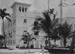 559 - Palm Beach
